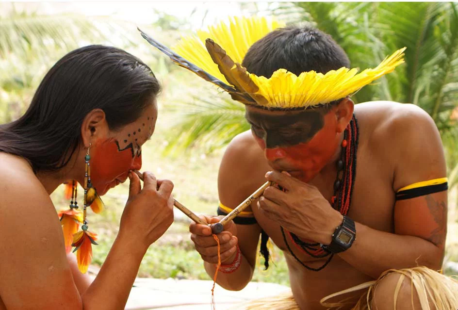 Shaman snuff là gì? Những điều bạn cần biết về Rapé